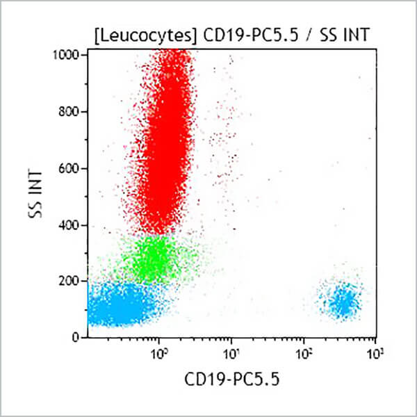 B49211_CD19-PC5.5, J3-119, 50 Tests, CE